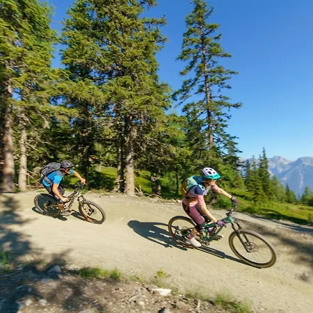 Hoeflehner Premium Eco 恩斯塔尔豪斯