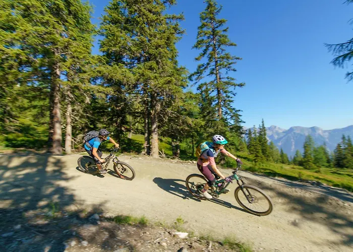 Hoeflehner Premium Eco Haus im Ennstal